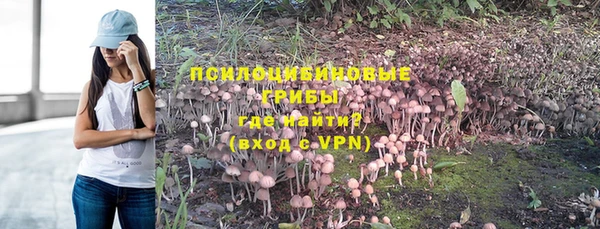 герыч Алзамай