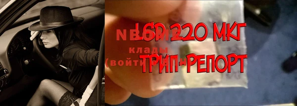 мет Алексин