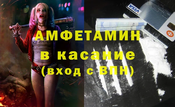 мет Алексин