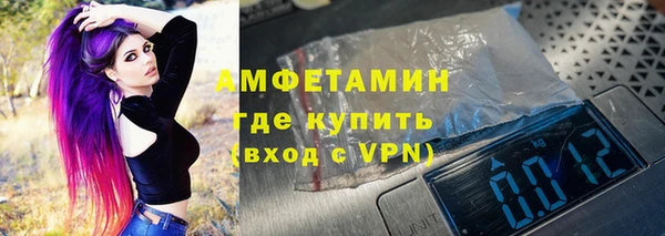мет Алексин